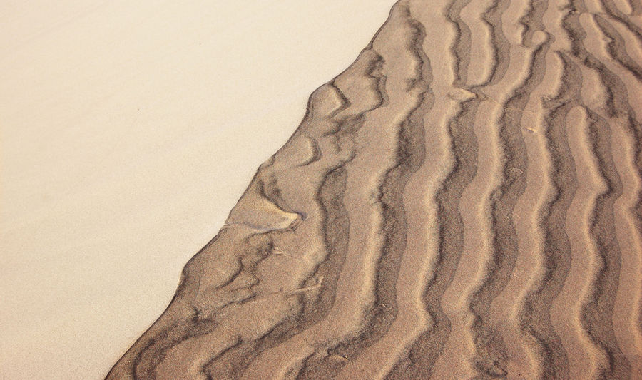Desert ground